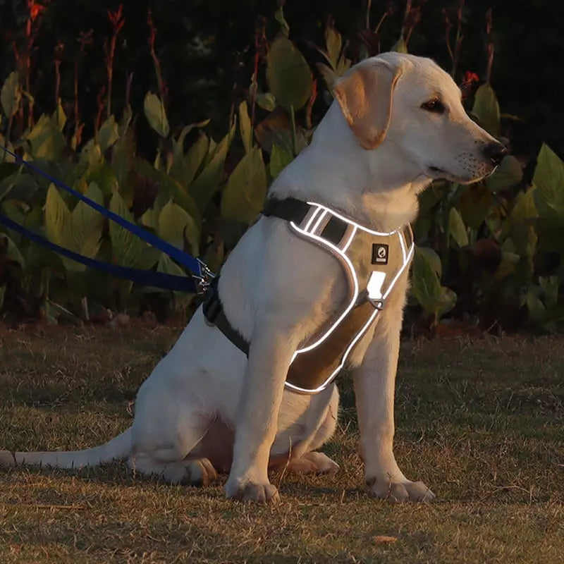 Coleira para Cachorros Peitoral Grande Dogmiau